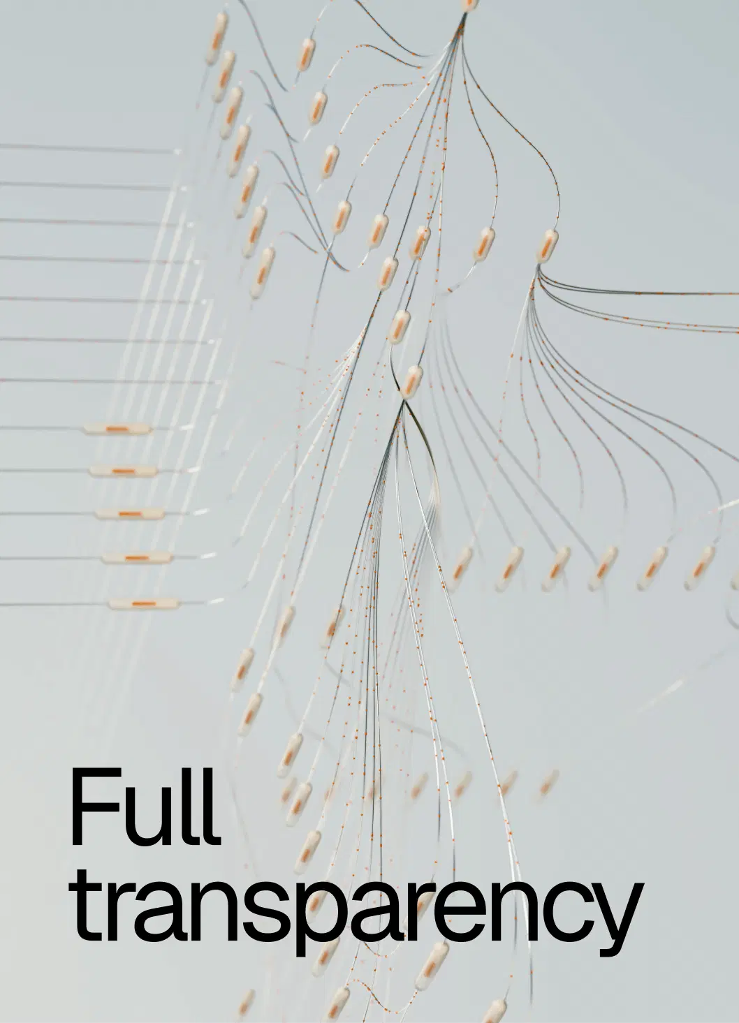 Project image 7